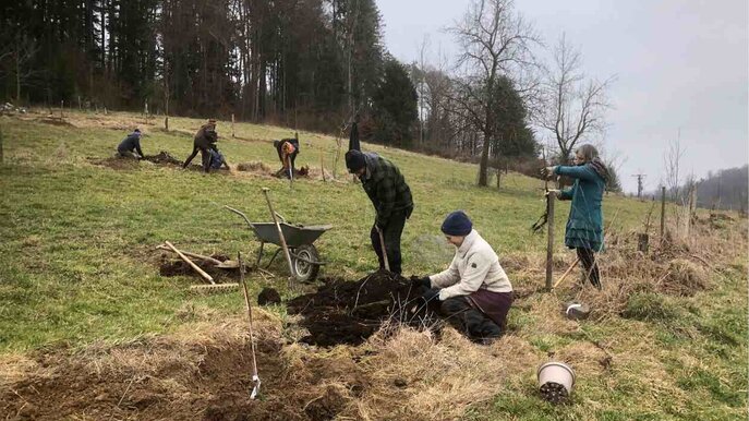 Daniel Schlegel Umweltstiftung - Agroforst Haslachhof