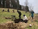 Daniel Schlegel Umweltstiftung - Agroforst Haslachhof