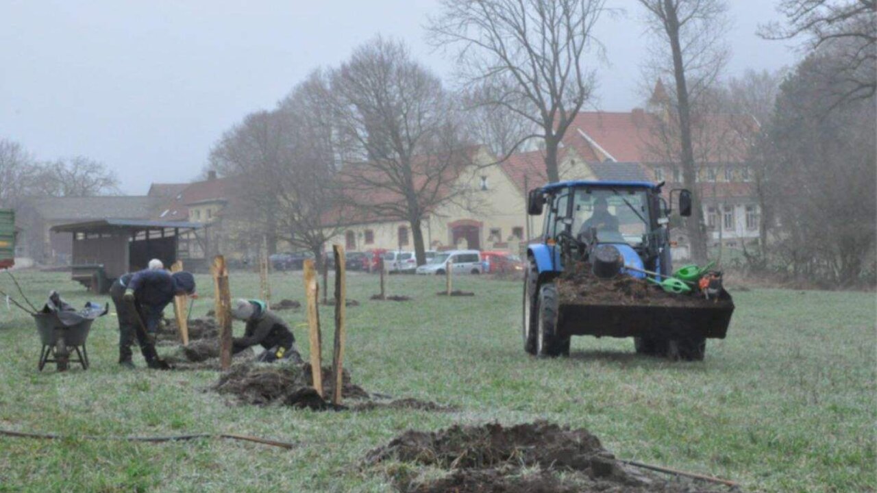 Daniel Schlegel Umweltstiftung - Agroforst