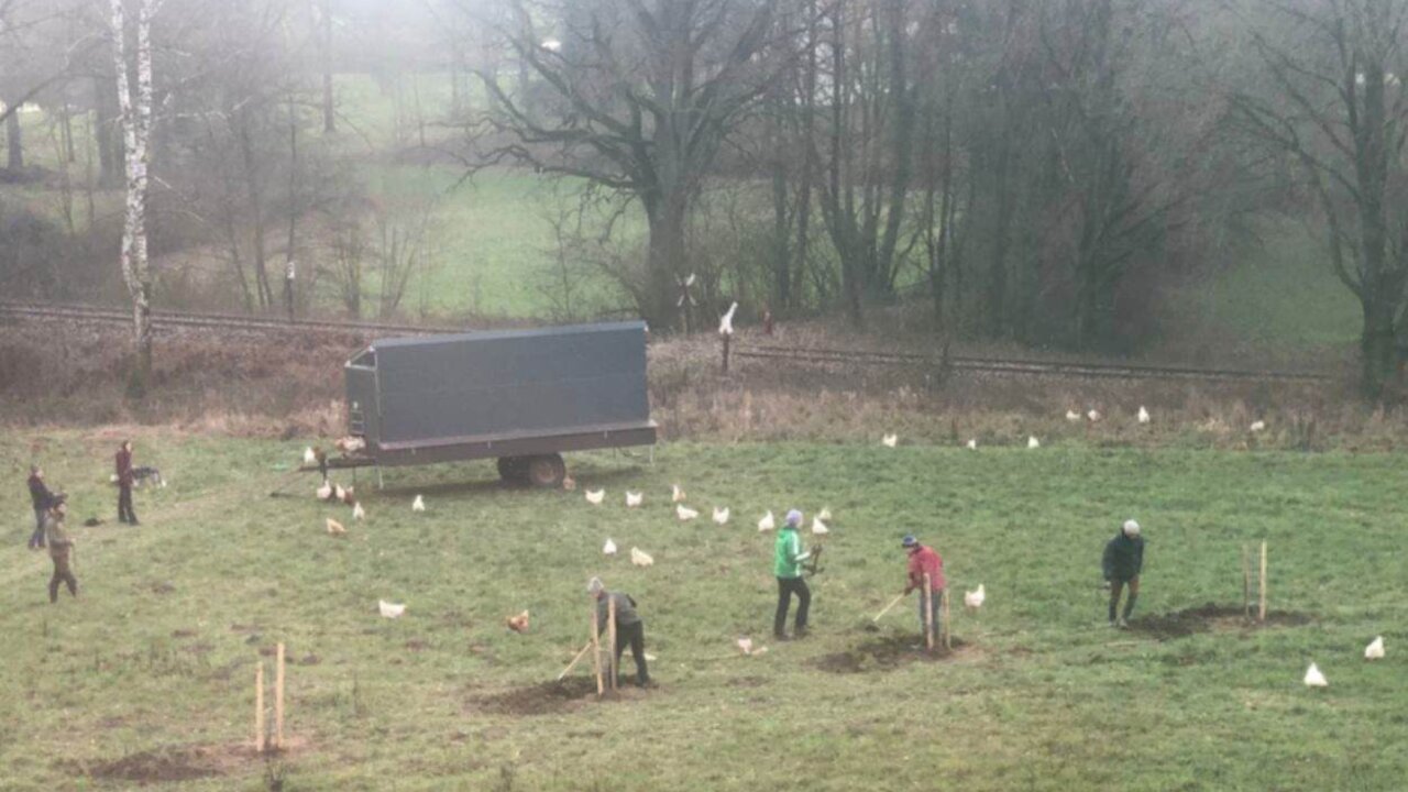 Daniel Schlegel Umweltstiftung - Agroforst