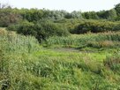 Förderverein Naturpark Sternberger Seenland e.V - Moor