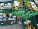 foodsavingandmore-Essenskisten