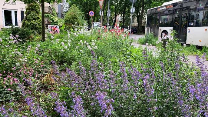 Greencity - Blumen
