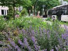 Greencity - Blumen