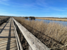 NABU-Naturschutzzentrum Federsee - Steg