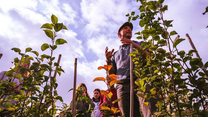 Next Level e.V. - Garten