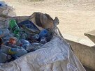 Ozeankind-Plastikflaschen im Lager