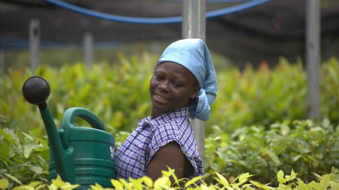 Plant-for-the-Planet - watering
