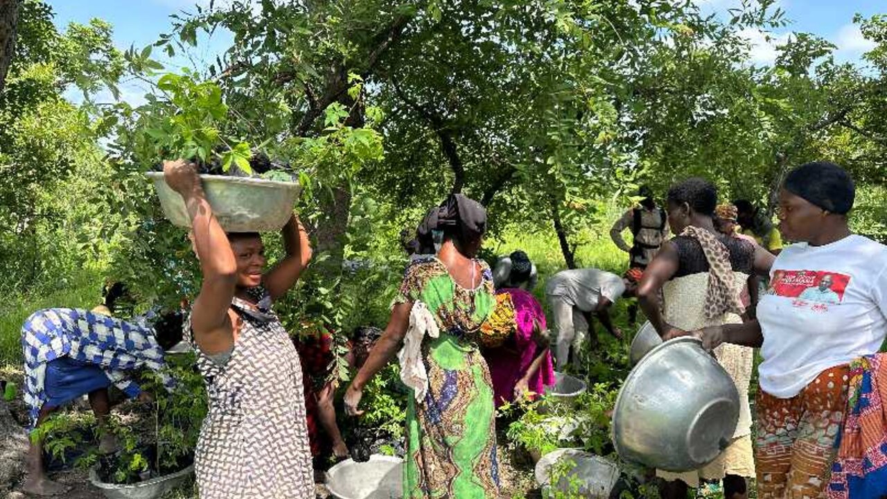 Plant-for-the-Planet - planting