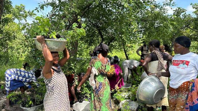 Plant-for-the-Planet - planting