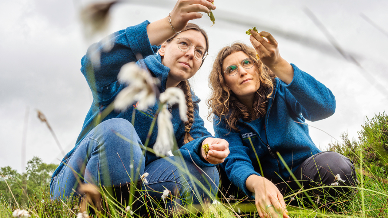 Stiftung Naturschutz - Natur