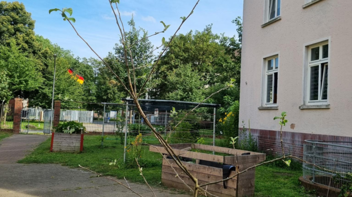 Martinsclub Bremen - Gemeinschaftsgarten