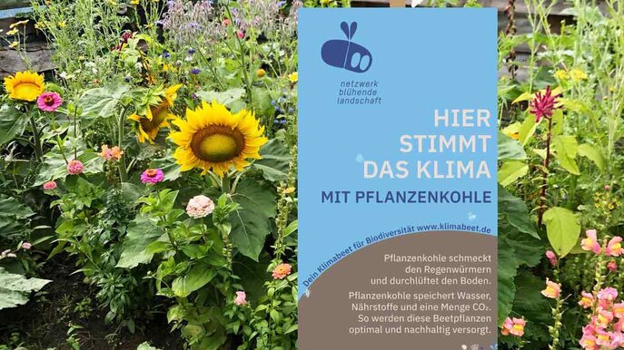 Mellifera - Klimabeet