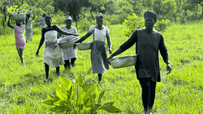 Plant-for-the-Planet