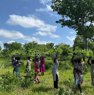 Plant-for-the-Planet