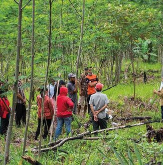 FVW-Farmer Field School Unterricht