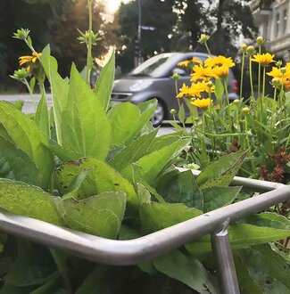 Greencity Hamburg-Städtebegrünung