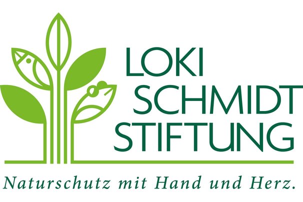 Logo - Loki Schmidt Stiftung