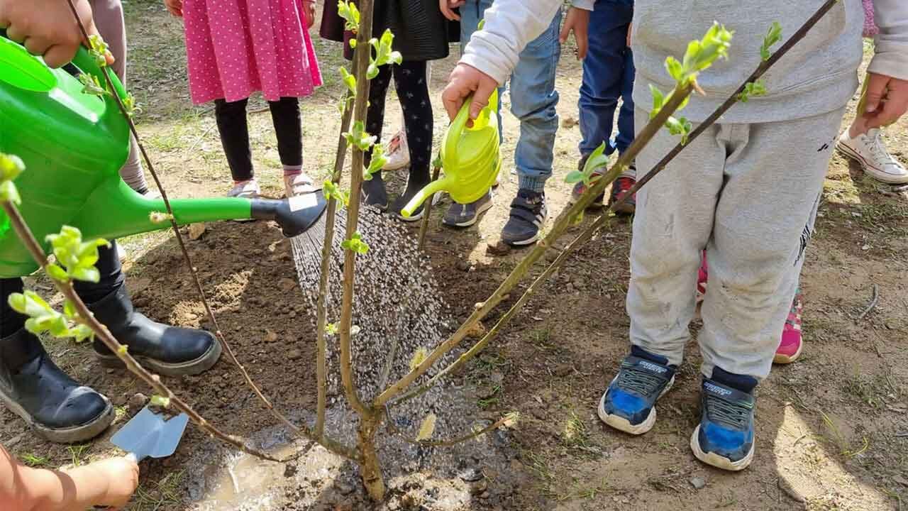 Sal-Weide wird gepflanzt-Pflanzaktion