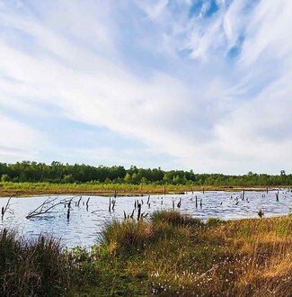 Loki Schmidt Stiftung-Moorlandschaft in Deutschland