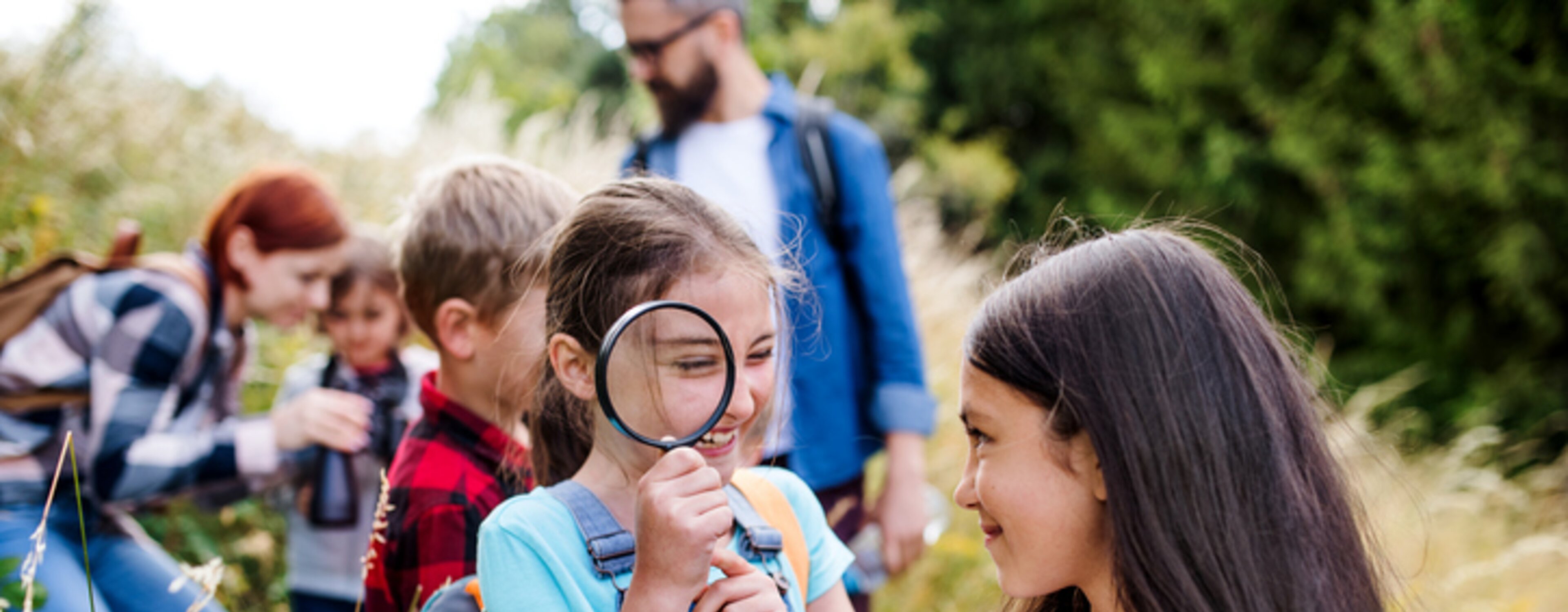 Bildung und Forschung